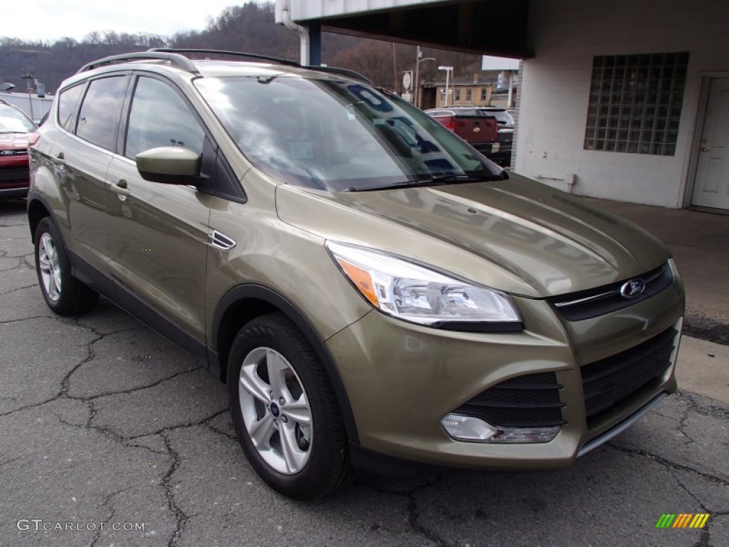 2013 Escape SE 1.6L EcoBoost 4WD - Ginger Ale Metallic / Medium Light Stone photo #2