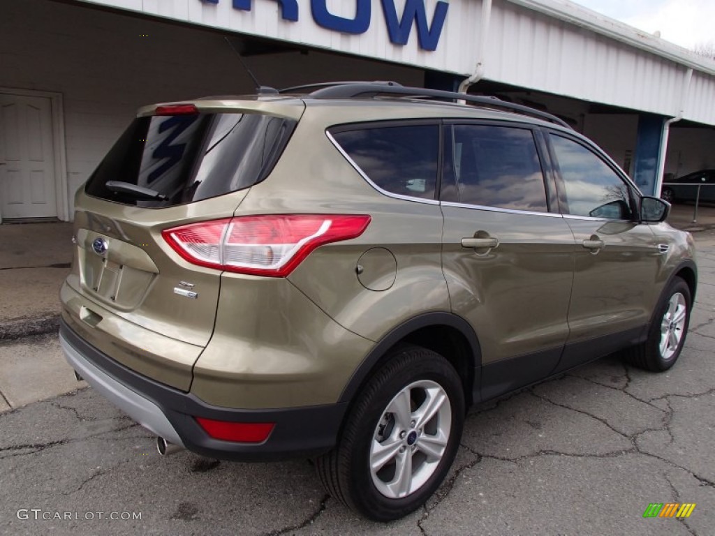 2013 Escape SE 1.6L EcoBoost 4WD - Ginger Ale Metallic / Medium Light Stone photo #8