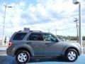 Sterling Gray Metallic - Escape XLT Photo No. 6