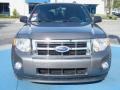 Sterling Gray Metallic - Escape XLT Photo No. 8