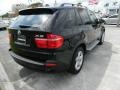 Jet Black - X5 3.0si Photo No. 3