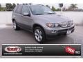 Sterling Grey Metallic - X5 4.4i Photo No. 1