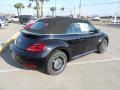 Black - Beetle 2.5L Convertible Photo No. 6