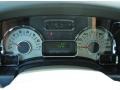 Stone Gauges Photo for 2013 Ford Expedition #78654394