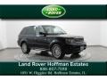 2010 Buckingham Blue Land Rover Range Rover Sport HSE #78640631