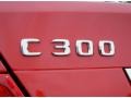 2010 Mercedes-Benz C 300 Sport Badge and Logo Photo