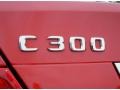 2010 Mercedes-Benz C 300 Sport Marks and Logos
