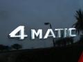 2010 Mercedes-Benz GL 450 4Matic Marks and Logos
