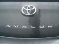 Magnetic Gray Metallic - Avalon Touring Photo No. 20