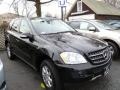 Black - ML 350 4Matic Photo No. 1