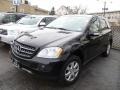 Black - ML 350 4Matic Photo No. 3