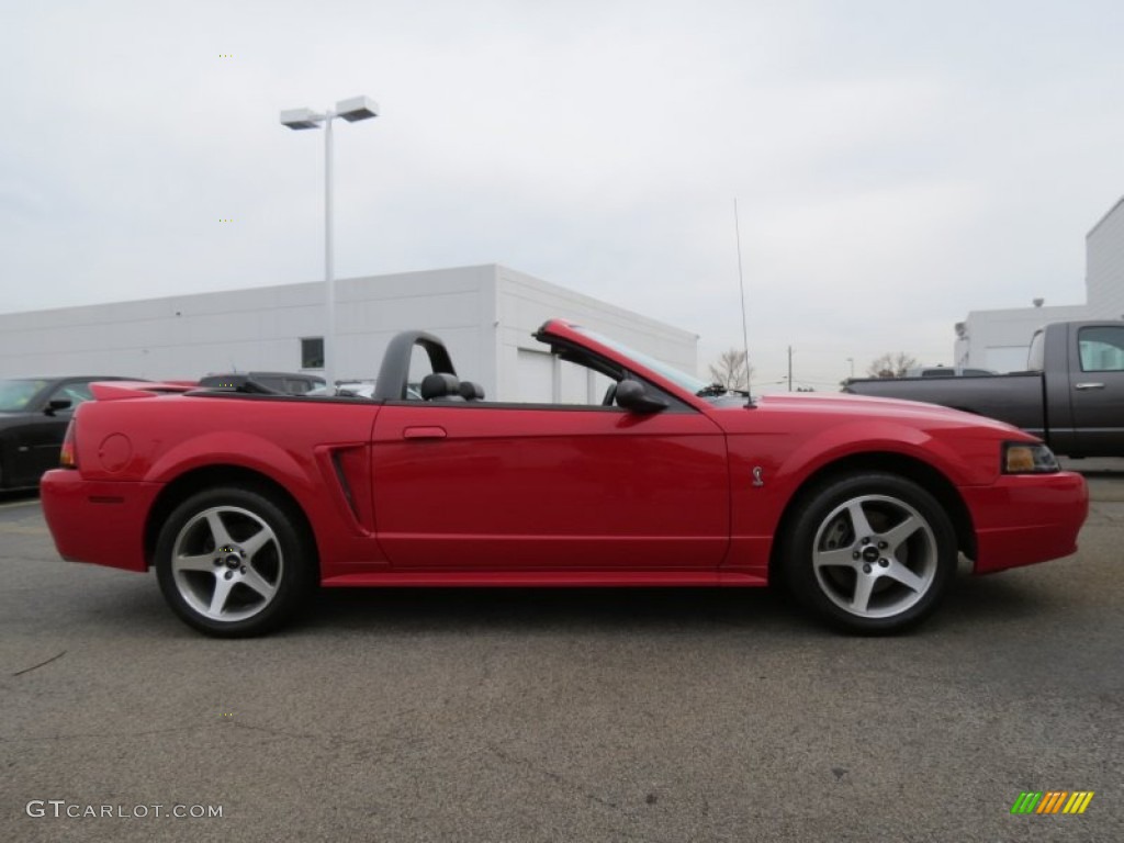 1999 Mustang SVT Cobra Convertible - Rio Red / Dark Charcoal photo #6