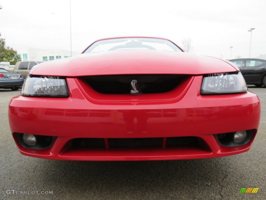 1999 Mustang SVT Cobra Convertible - Rio Red / Dark Charcoal photo #8