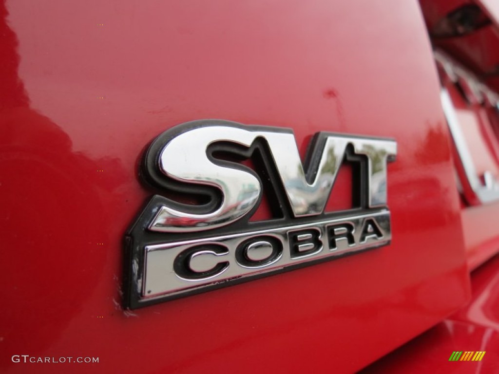1999 Mustang SVT Cobra Convertible - Rio Red / Dark Charcoal photo #15