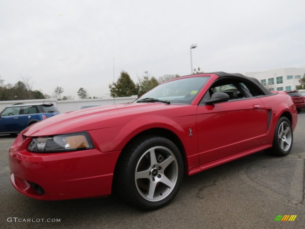 1999 Mustang SVT Cobra Convertible - Rio Red / Dark Charcoal photo #23