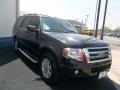 Tuxedo Black - Expedition XLT Photo No. 11