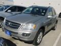 Pewter Metallic - ML 350 4Matic Photo No. 2