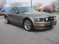 2005 Mineral Grey Metallic Ford Mustang GT Premium Coupe  photo #9