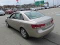 2008 Golden Beige Hyundai Sonata GLS V6  photo #6