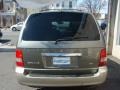 2005 Sage Green Metallic Kia Sedona EX  photo #5