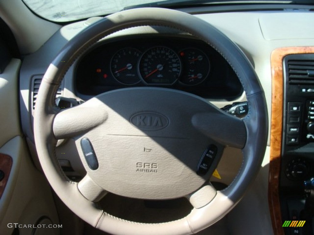 2005 Sedona EX - Sage Green Metallic / Beige photo #10