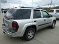 2004 Silverstone Metallic Chevrolet TrailBlazer LS 4x4  photo #5