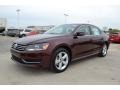 Opera Red Metallic - Passat 2.5L SE Photo No. 1
