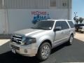 2013 Ingot Silver Ford Expedition Limited  photo #31