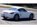 Carrara White - Cayman  Photo No. 5