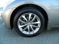 Platinum Graphite - G 37 x Sedan Photo No. 10