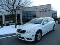 2009 Arctic White Mercedes-Benz R 350 4Matic  photo #2