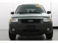 2006 Titanium Green Metallic Ford Escape Hybrid  photo #3