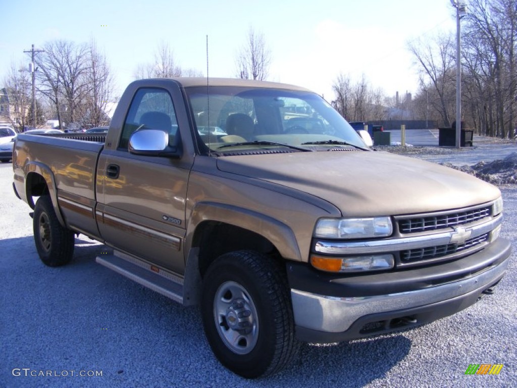 1999 Silverado 2500 LS Regular Cab 4x4 - Sunset Gold Metallic / Medium Oak photo #3