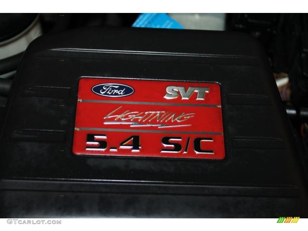 2003 Ford F150 SVT Lightning Marks and Logos Photo #78704792
