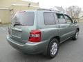 2004 Oasis Green Pearl Toyota Highlander V6  photo #7