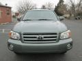 2004 Oasis Green Pearl Toyota Highlander V6  photo #12