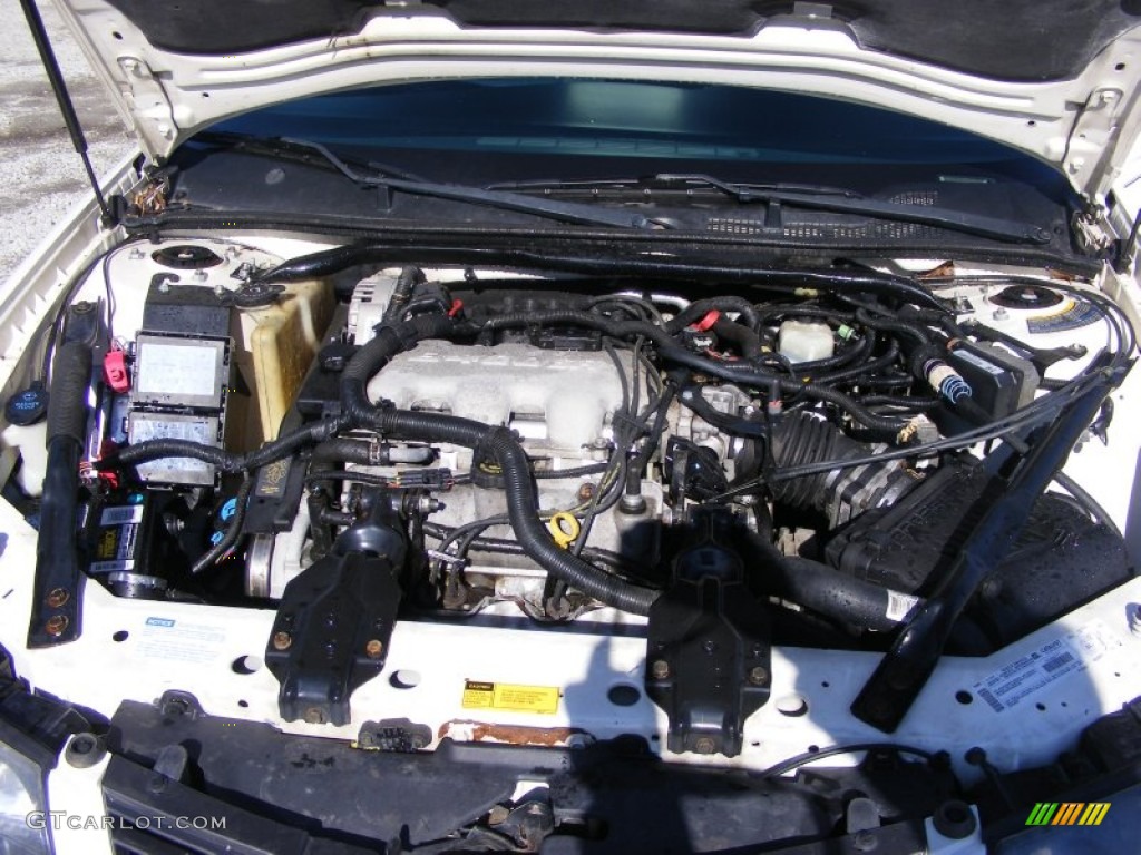 2001 Impala  - White / Regal Blue photo #18