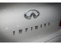 2010 Liquid Platinum Infiniti G 37 Journey Sedan  photo #30