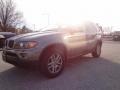 Sterling Grey Metallic - X5 3.0i Photo No. 4