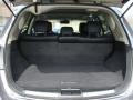 Black Trunk Photo for 2010 Nissan Murano #78714599