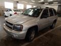 Silverstone Metallic - TrailBlazer LT 4x4 Photo No. 3