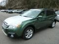 Cypress Green Pearl - Outback 2.5i Limited Photo No. 8