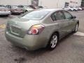 Metallic Jade - Altima 3.5 SE Photo No. 6