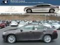 2013 Fire Agate Pearl Lexus ES 300h Hybrid  photo #1