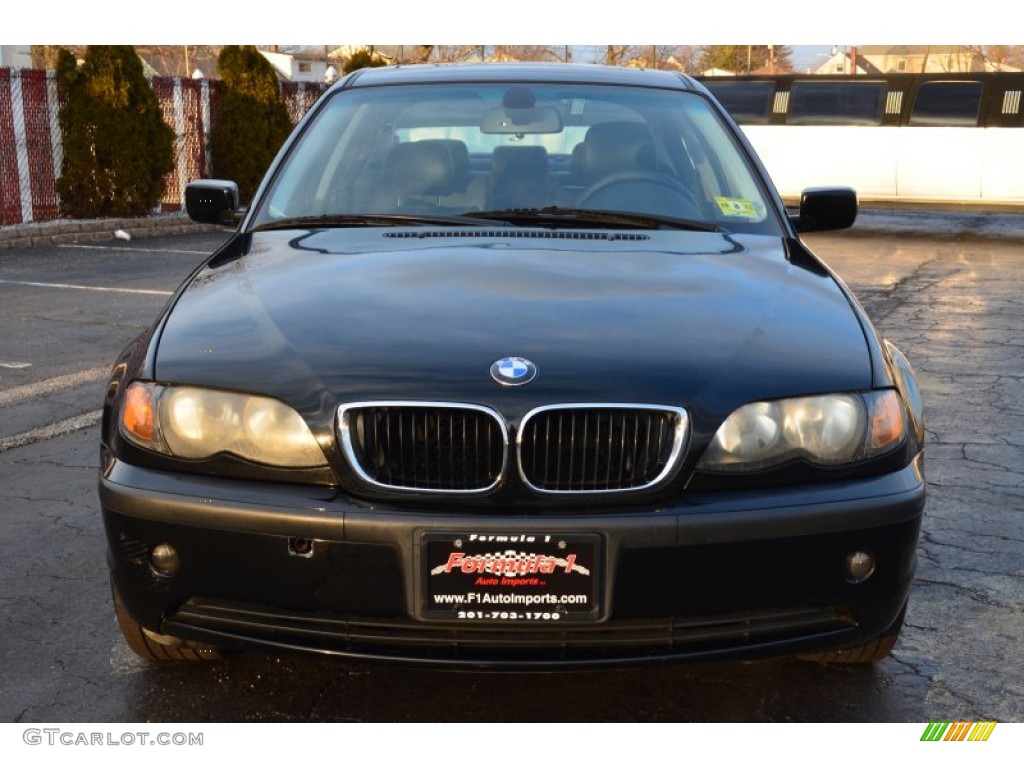 2004 3 Series 325xi Sedan - Jet Black / Black photo #2