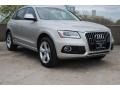 Cuvee Silver Metallic - Q5 2.0 TFSI hybrid quattro Photo No. 1