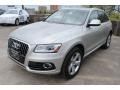 Cuvee Silver Metallic - Q5 2.0 TFSI hybrid quattro Photo No. 3