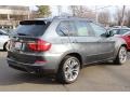 Platinum Gray Metallic - X5 xDrive 50i Photo No. 5