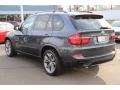 Platinum Gray Metallic - X5 xDrive 50i Photo No. 7