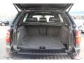 Platinum Gray Metallic - X5 xDrive 50i Photo No. 21